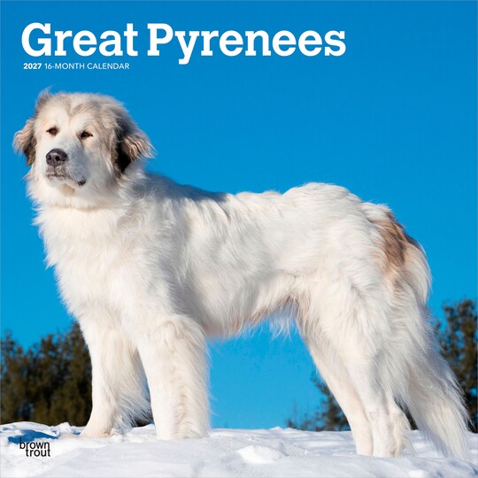 BrownTrout; Great Pyrenees | 2027 12 x 24 Inch (Hanging) Monthly Square Wall Calendar | Plastic-Free; Category:Wall Calendars; Image:1
